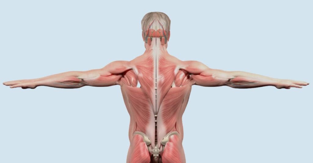 Fix Uneven Shoulders with Targeted Techniques Dr. Body Gadget