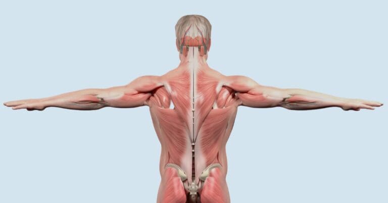 uneven shoulders